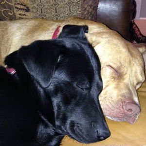 Meet your Posher, Stefanie